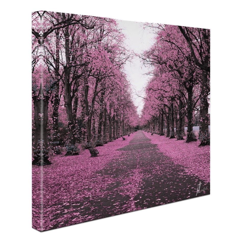 Blossom Path Canvas Print wall art product Aimee Linzi