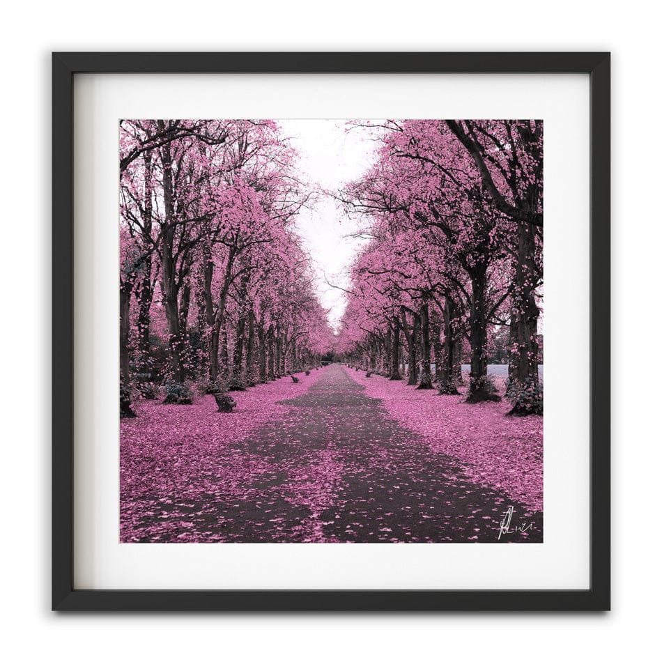 Blossom Path Framed Art Print wall art product Aimee Linzi