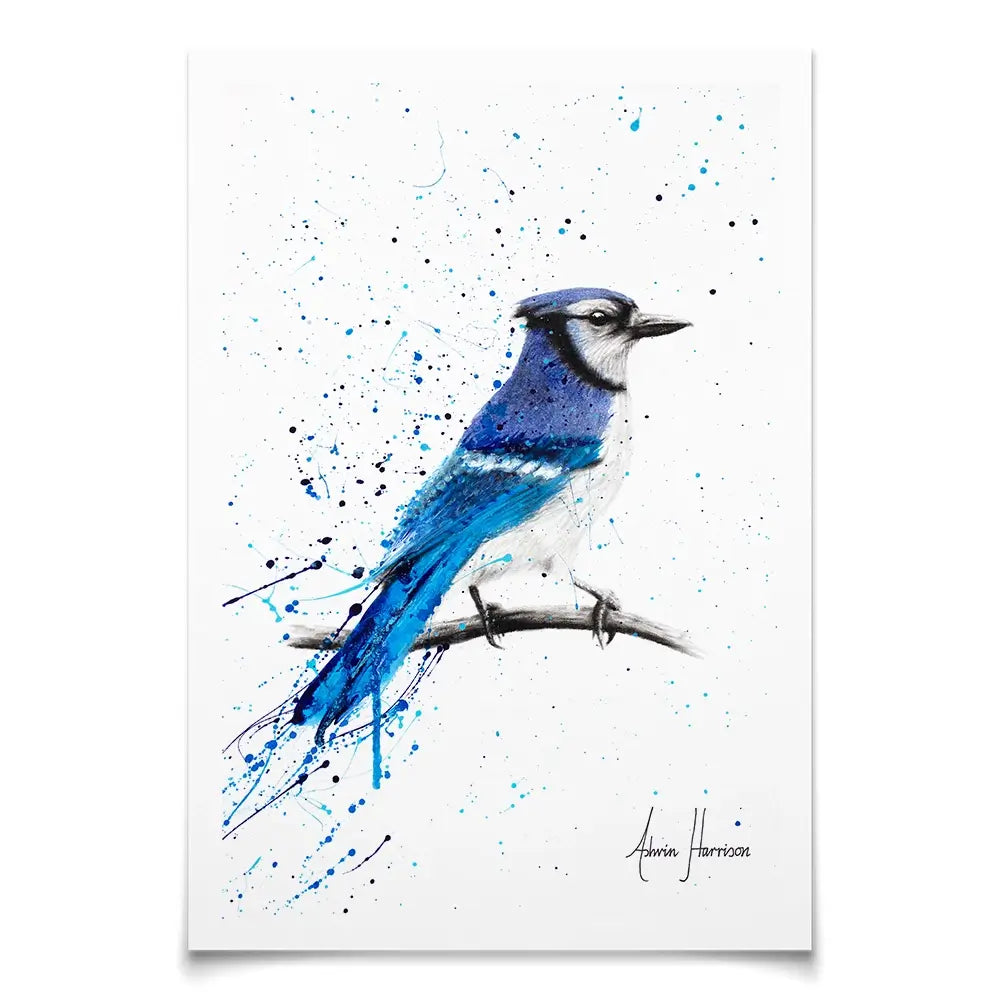 Blue Jay Sunday Art Print Blue Jay Sunday Art Print wall art product Ashvin Harrison