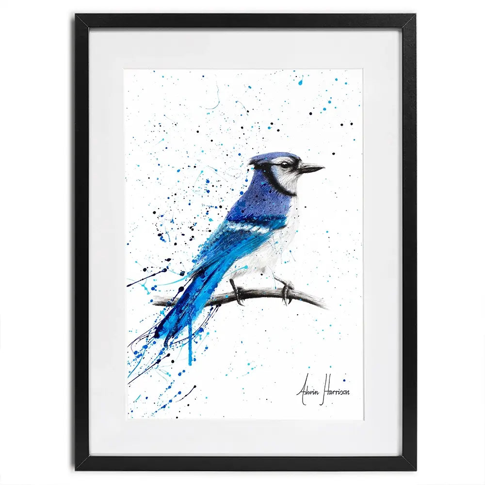 Blue Jay Sunday Framed Art Print Blue Jay Sunday Framed Art Print wall art product Ashvin Harrison