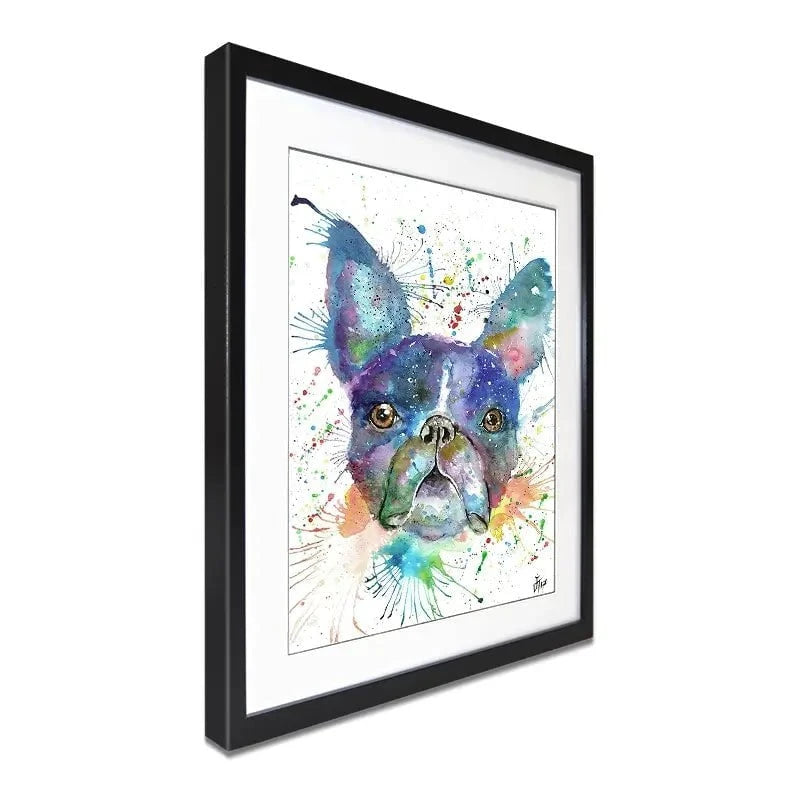 Bruno The Boston Terrier Framed Art Print Bruno The Boston Terrier Framed Art Print wall art product Jamie Taylor