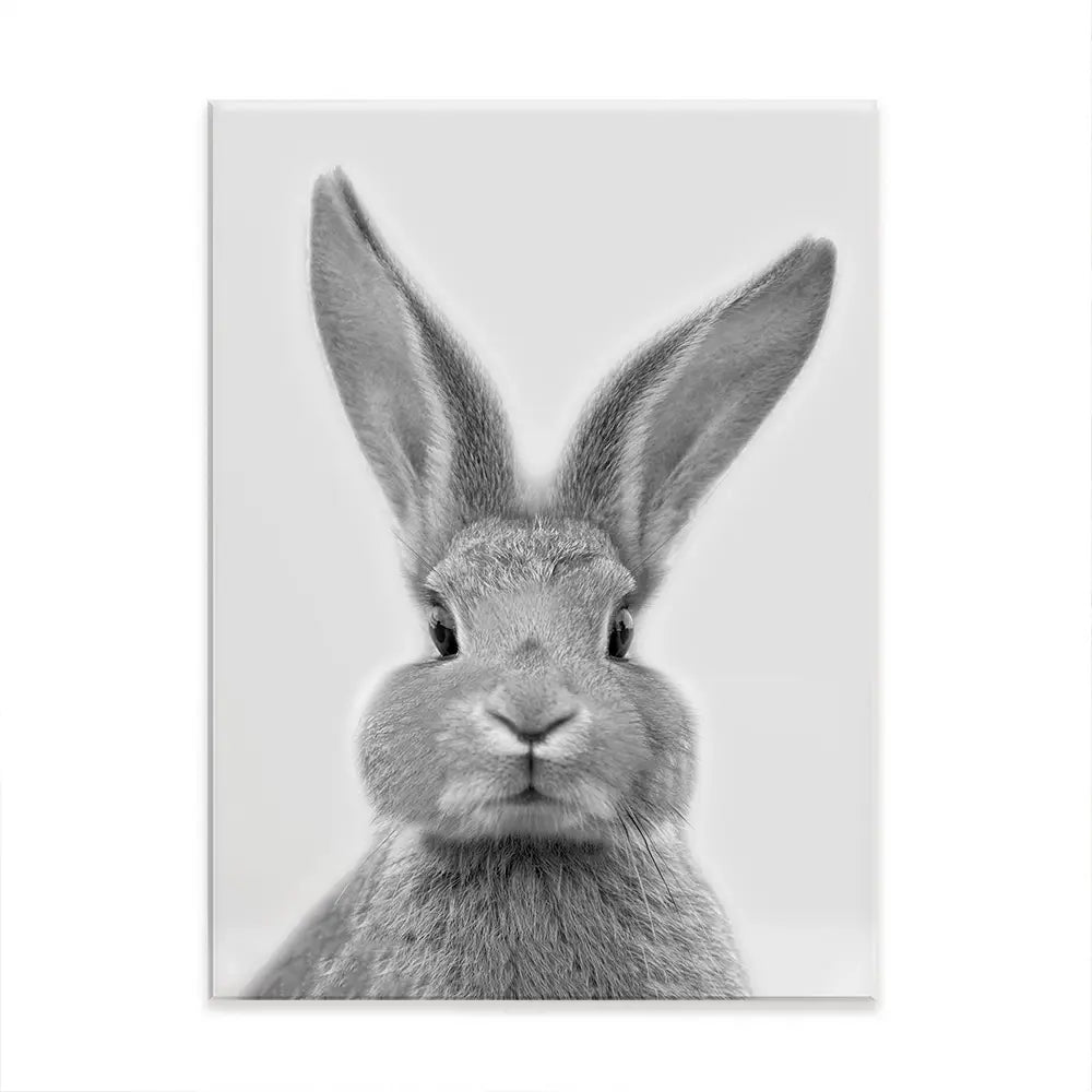 Bunny Rabbit Portrait Canvas Print Bunny Rabbit Portrait Canvas Print wall art product R Visser