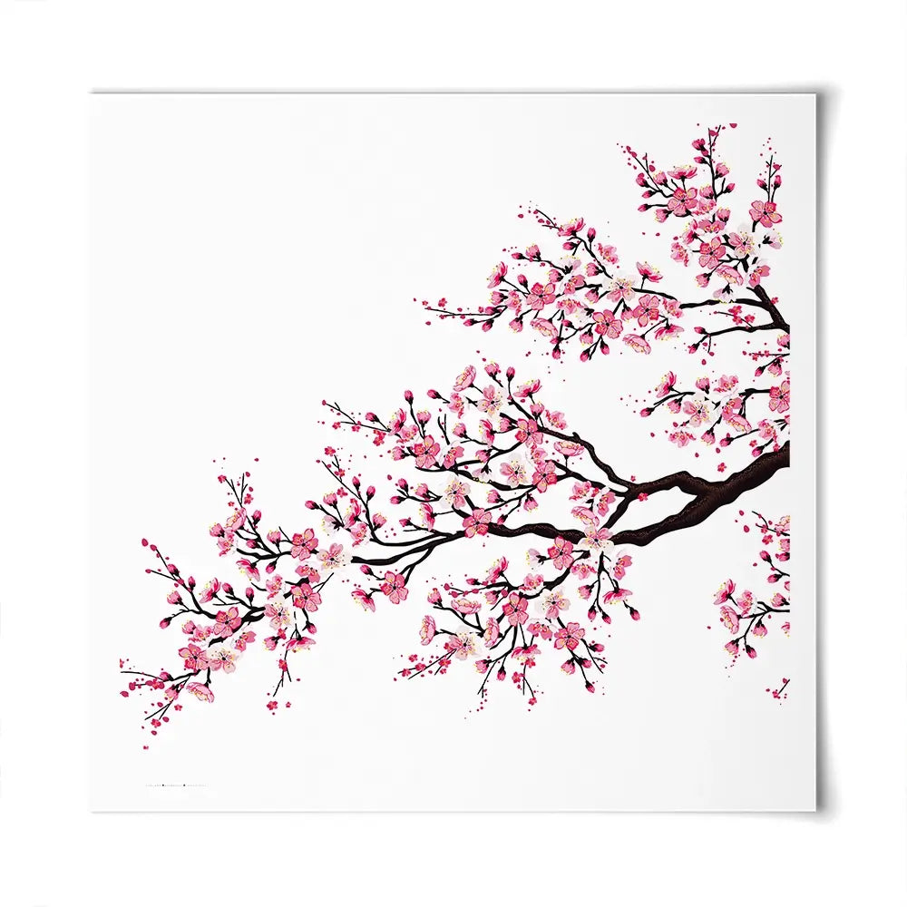 Cherry Blossom Branch Square Art Print Cherry Blossom Branch Square Art Print wall art product fresher / Shutterstock