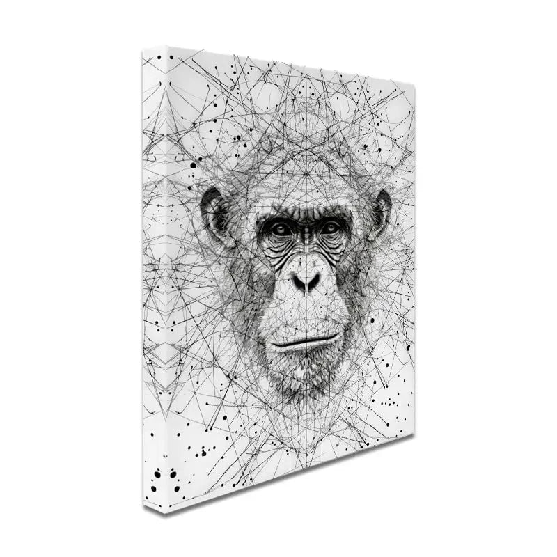 Chimpanzee Study Canvas Print Chimpanzee Study Canvas Print wall art product David Alexander Elder