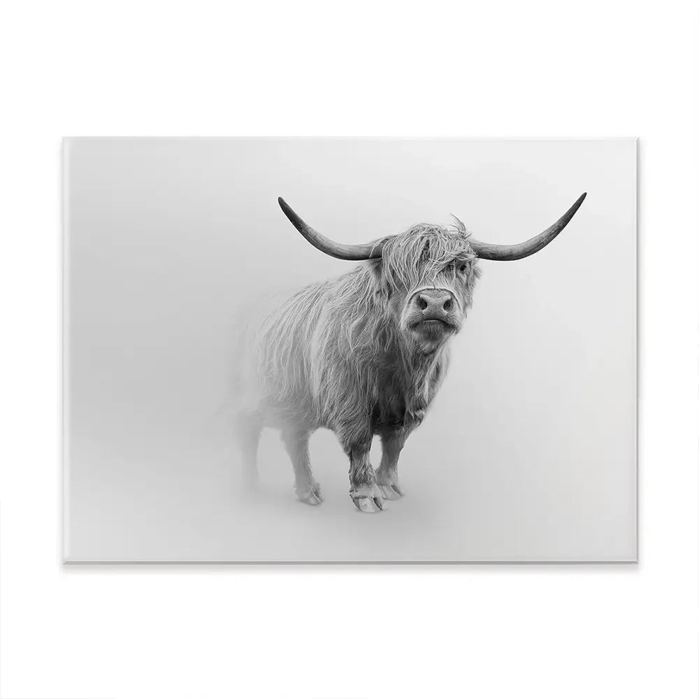 Cow In The Fog Canvas Print Cow In The Fog Canvas Print wall art product Effect of Darkness / Shutterstock