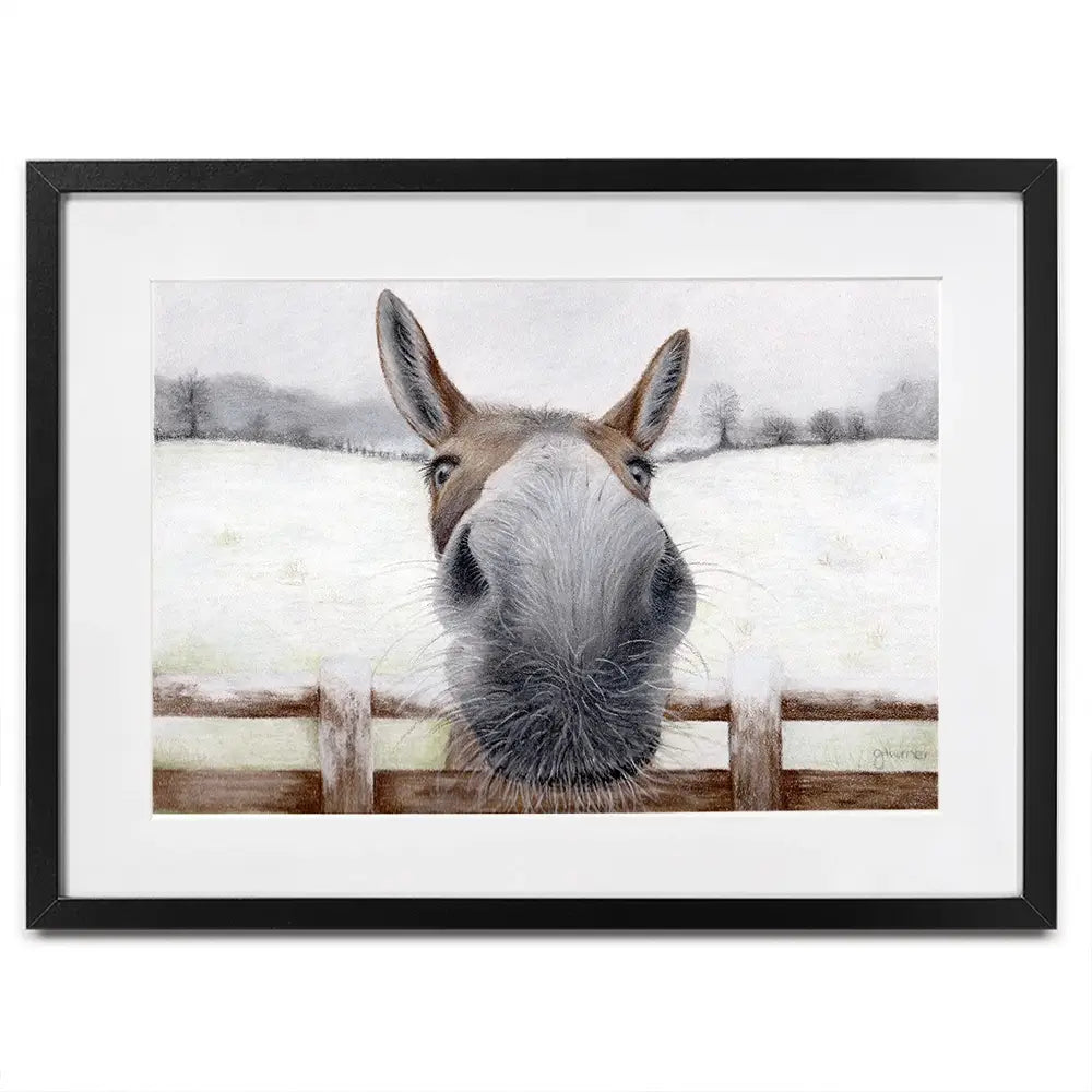 Donkey Over The Fence Framed Art Print Donkey Over The Fence Framed Art Print wall art product Georgie Turner