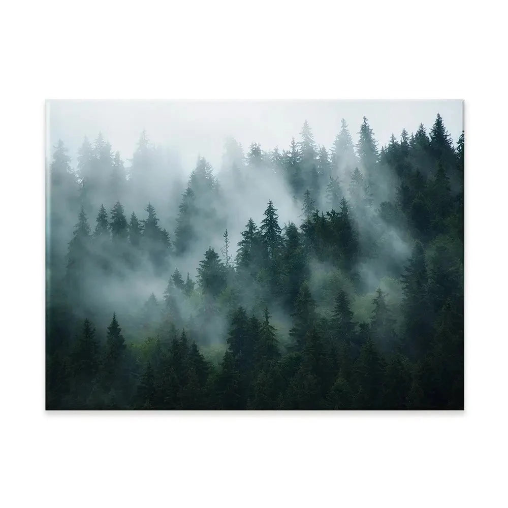 Fir Forest Canvas Print Fir Forest Canvas Print wall art product Roxana Bashyrova / Shutterstock