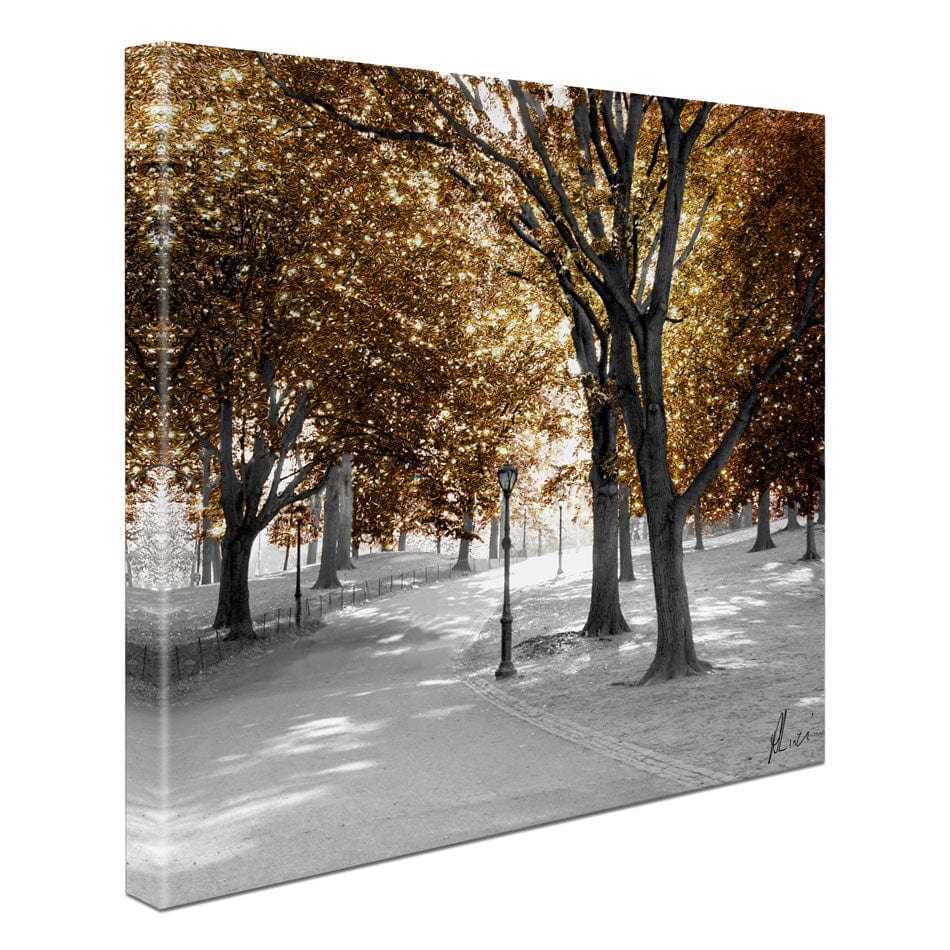 Gold Path Canvas Print wall art product Aimee Linzi