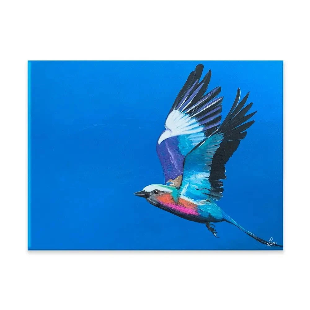 Lilac Breasted Roller In Flight Canvas Print Lilac Breasted Roller In Flight Canvas Print wall art product Laure Bury