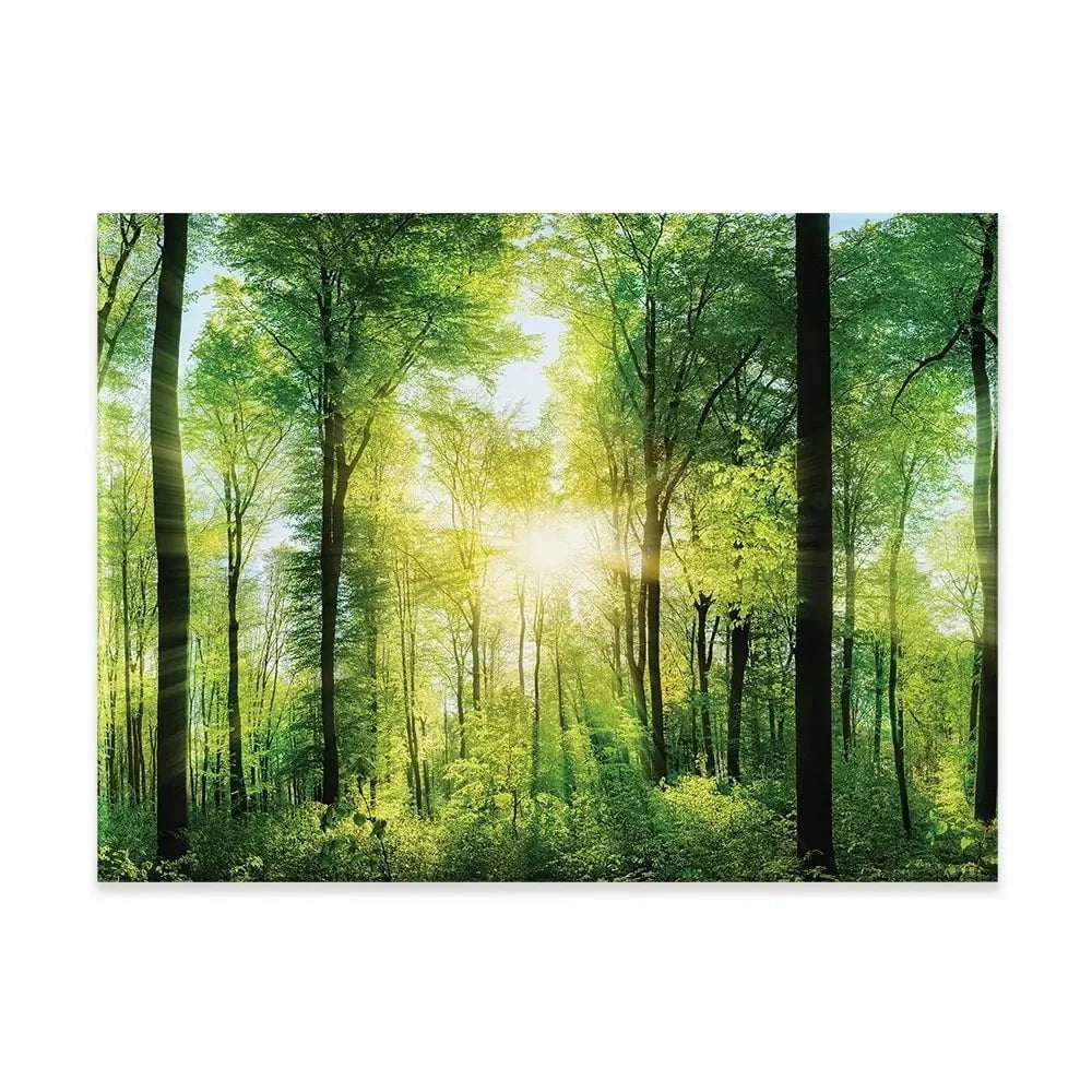 Scenic Forest Canvas Print Scenic Forest Canvas Print wall art product Smileus / Shutterstock