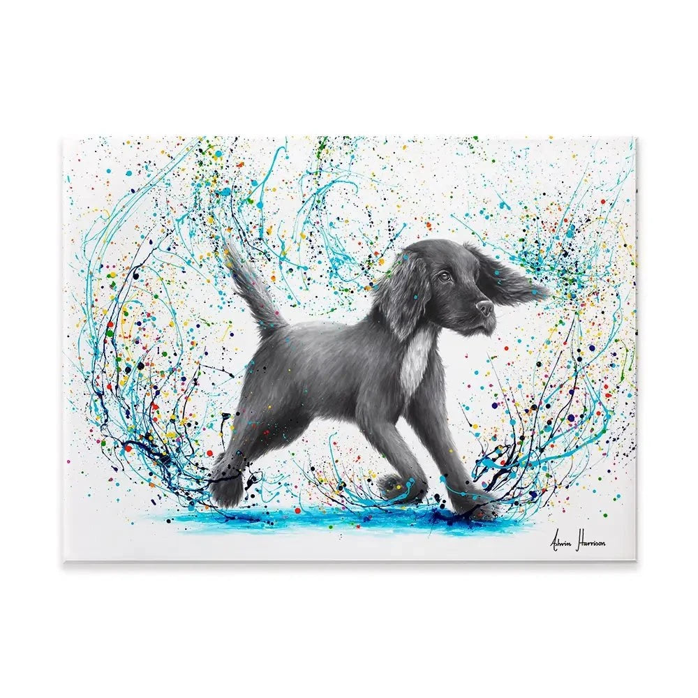 Spaniel Splash Canvas Print Spaniel Splash Canvas Print wall art product Ashvin Harrison