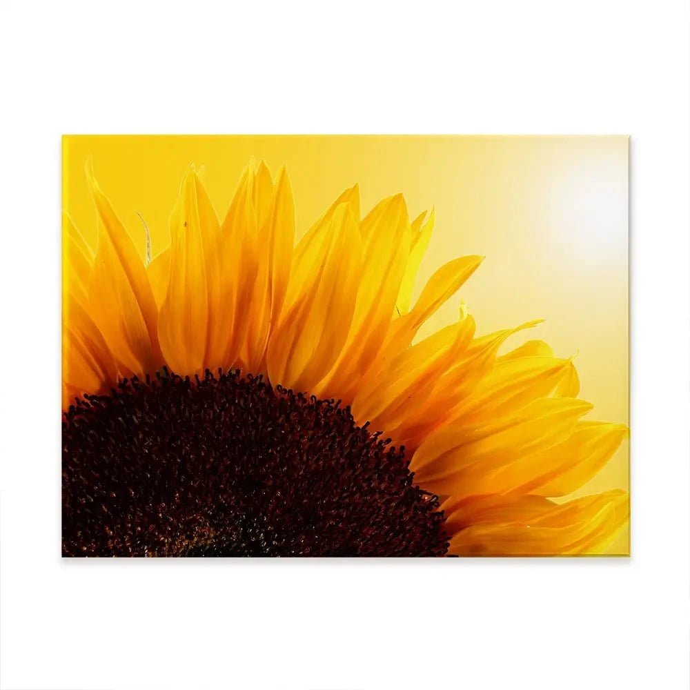 Sunflower Canvas Print Sunflower Canvas Print wall art product S_Photo / Shutterstock
