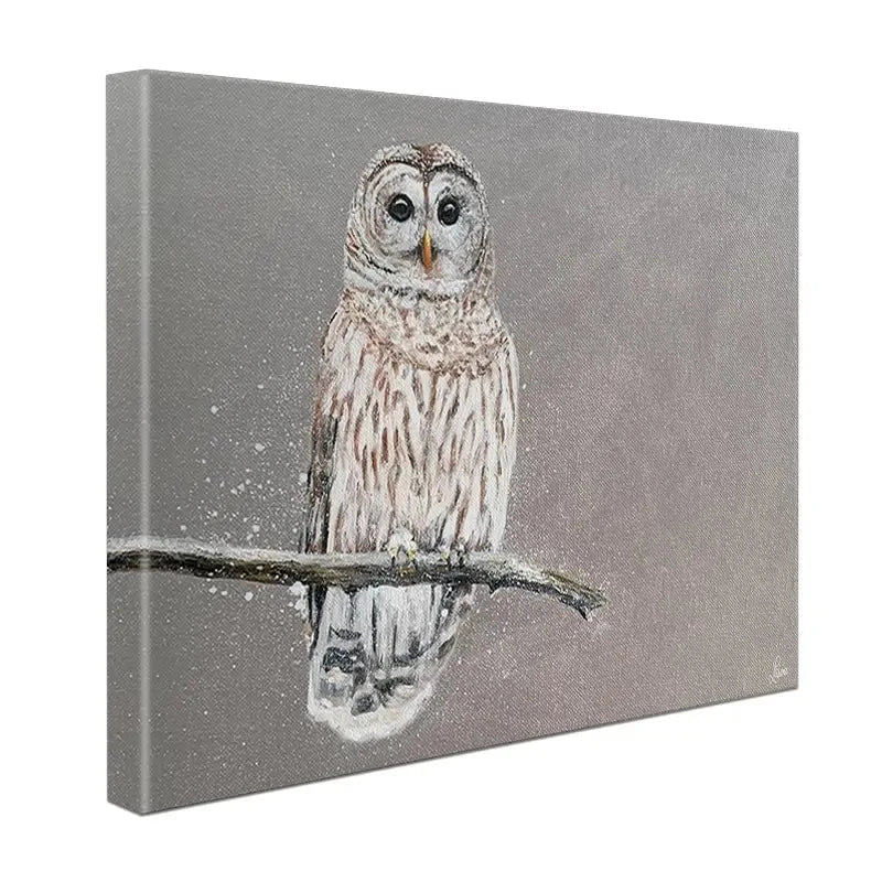 Tawny Owl At Night Canvas Print Tawny Owl At Night Canvas Print wall art product Laure Bury