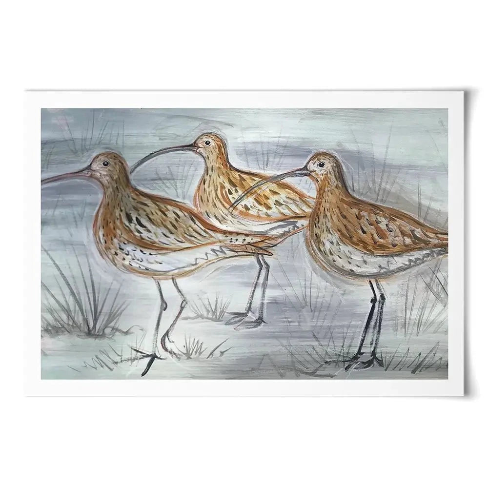 Three Curlews Art Print Three Curlews Art Print wall art product Jane Brookshaw
