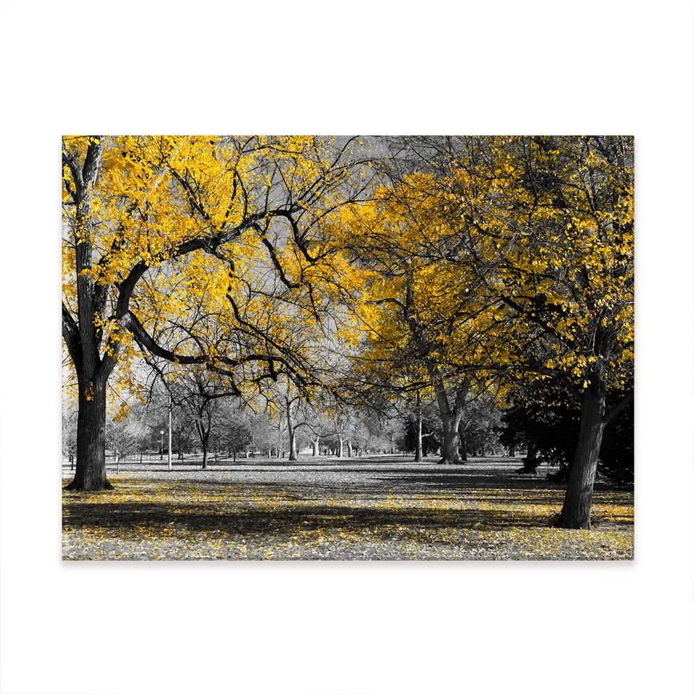 Yellow Blossom Trees Canvas Print Yellow Blossom Trees Canvas Print wall art product Ryan DeBerardinis / Shutterstock