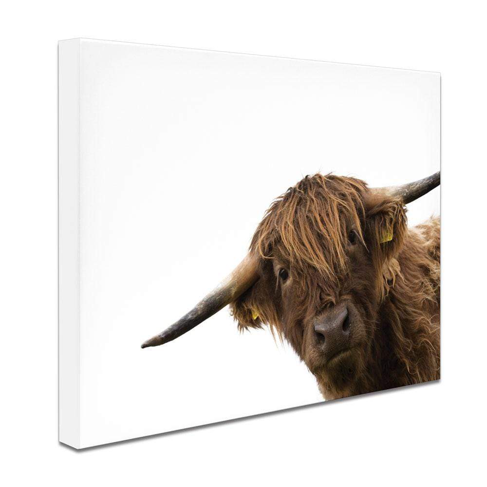 Side Peeking Highland Cow Canvas Print wall art product Massimo Cavallo / Shutterstock