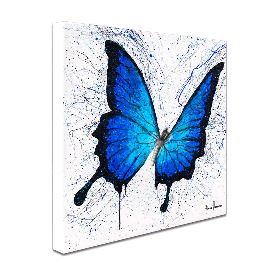 Tropics Of Blue Butterfly Canvas Print wall art product Ashvin Harrison