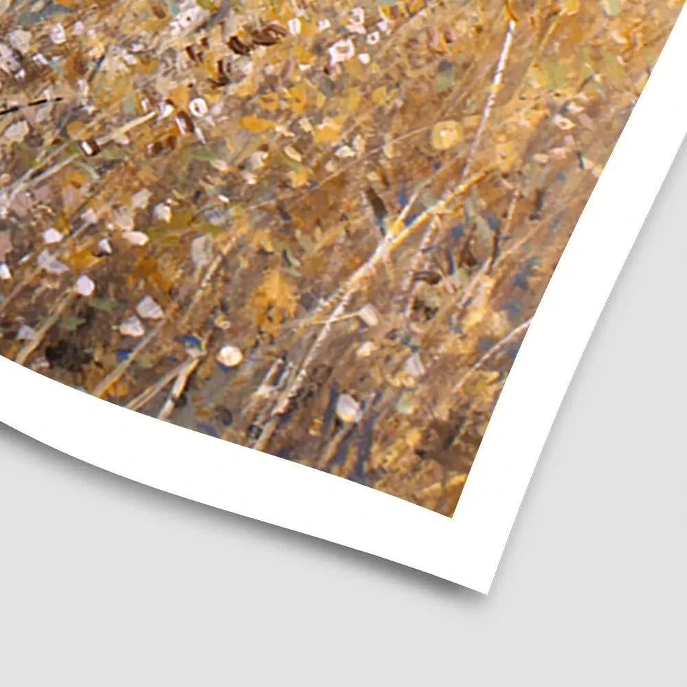 Autumn Flowering Art Print Autumn Flowering Art Print wall art product Tim O'Toole