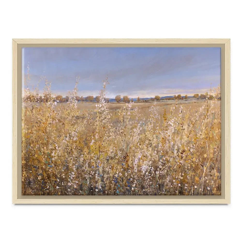 Autumn Flowering Canvas Print Autumn Flowering Canvas Print wall art product Tim O'Toole