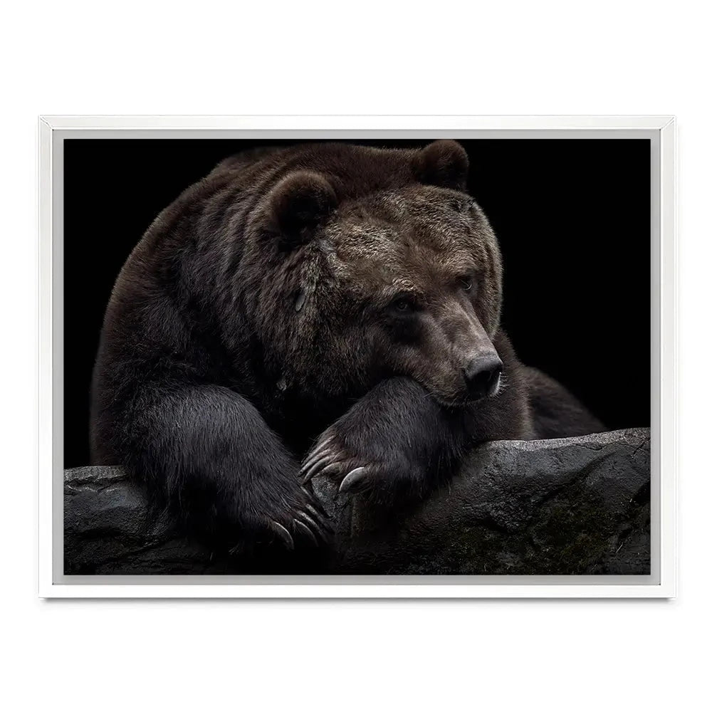Bear Canvas Print Bear Canvas Print wall art product Thomas Marx / Shutterstock