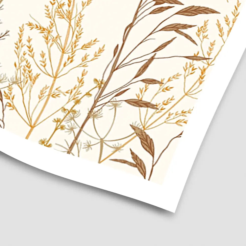 Beige Botanicals Art Print Beige Botanicals Art Print wall art product Art Print Shop