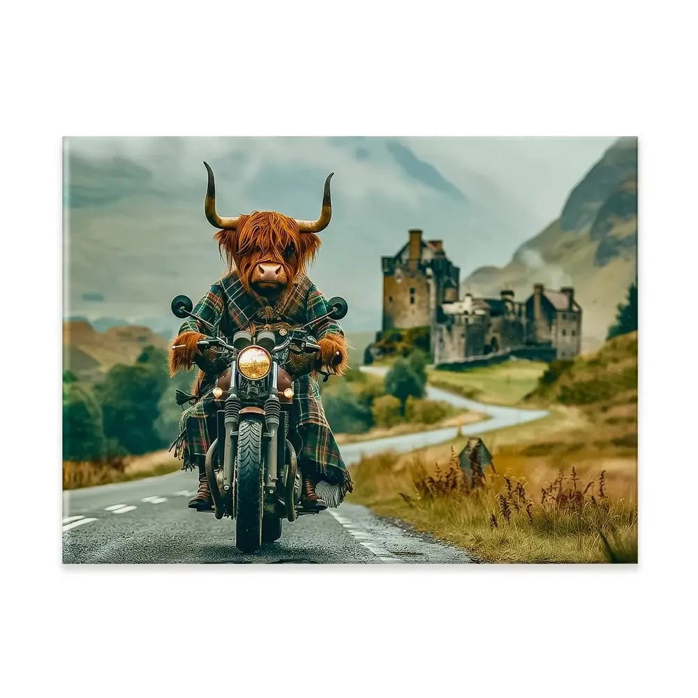 Biker Coo Canvas Print Biker Coo Canvas Print wall art product David Alexander Elder