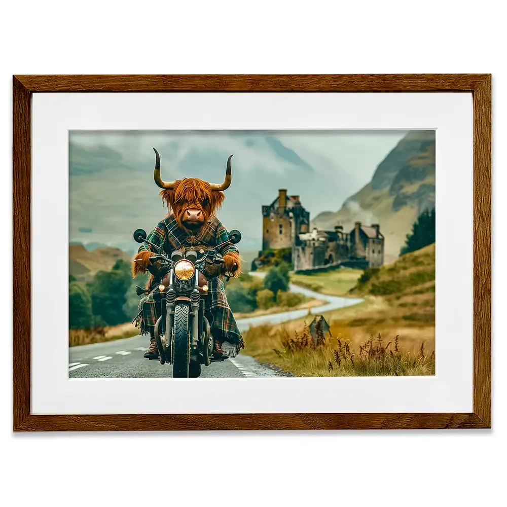 Biker Coo Framed Art Print Biker Coo Framed Art Print wall art product David Alexander Elder