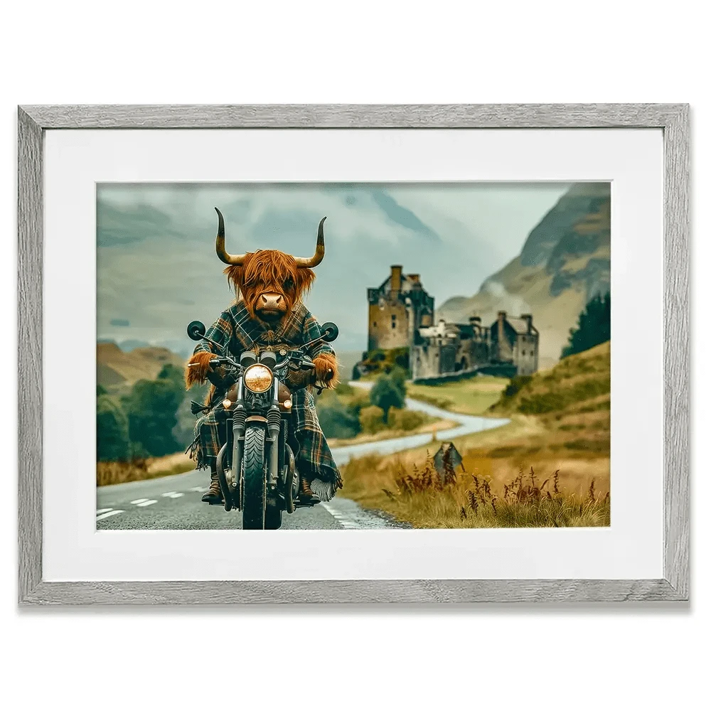 Biker Coo Framed Art Print Biker Coo Framed Art Print wall art product David Alexander Elder