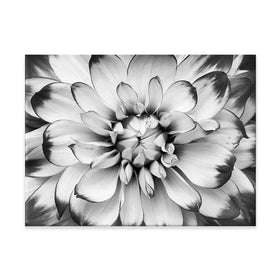 Black And White Flower Canvas Print Black And White Flower Canvas Print wall art product Annmarie Young / Shutterstock
