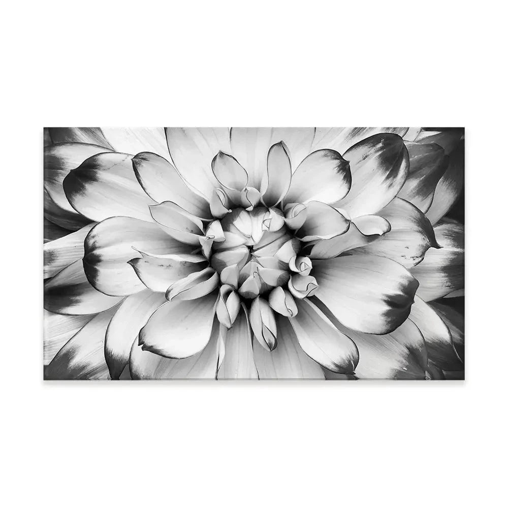 Black And White Flower Canvas Print Black And White Flower Canvas Print wall art product Annmarie Young / Shutterstock
