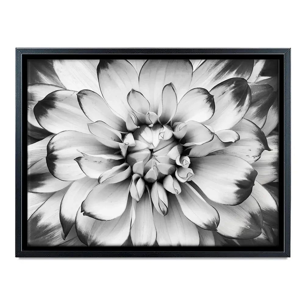 Black And White Flower Canvas Print Black And White Flower Canvas Print wall art product Annmarie Young / Shutterstock