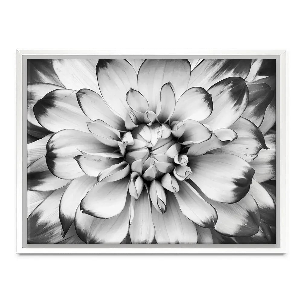 Black And White Flower Canvas Print Black And White Flower Canvas Print wall art product Annmarie Young / Shutterstock