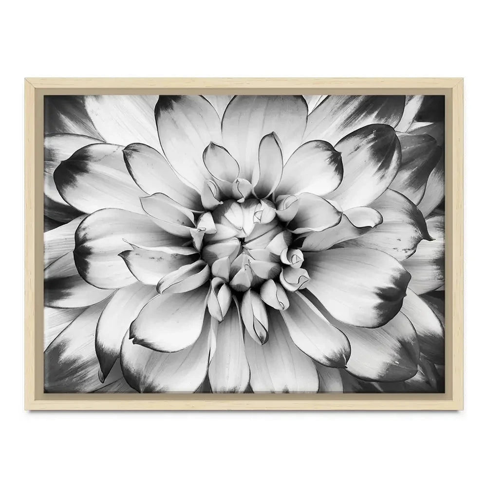 Black And White Flower Canvas Print Black And White Flower Canvas Print wall art product Annmarie Young / Shutterstock