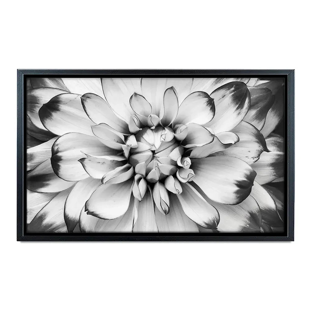 Black And White Flower Canvas Print Black And White Flower Canvas Print wall art product Annmarie Young / Shutterstock