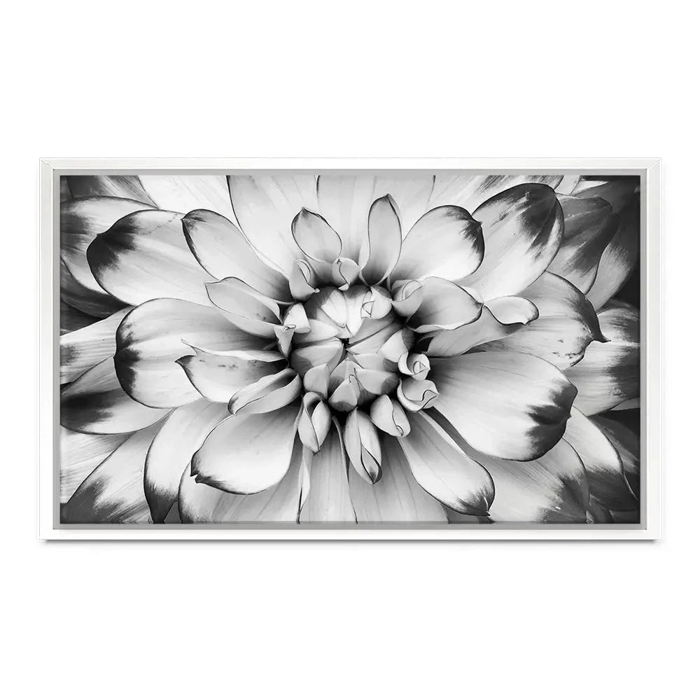 Black And White Flower Canvas Print Black And White Flower Canvas Print wall art product Annmarie Young / Shutterstock
