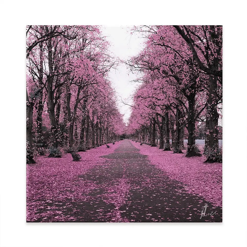 Blossom Path Canvas Print Blossom Path Canvas Print wall art product Aimee Linzi
