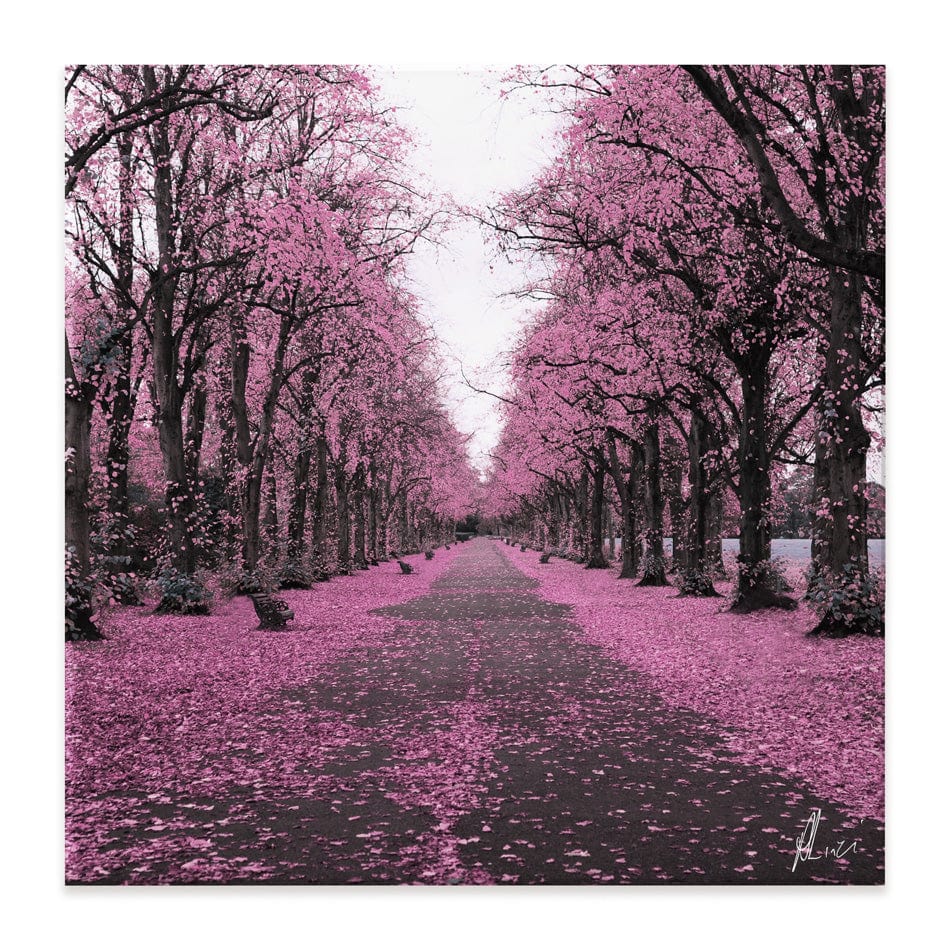 Blossom Path Canvas Print wall art product Aimee Linzi