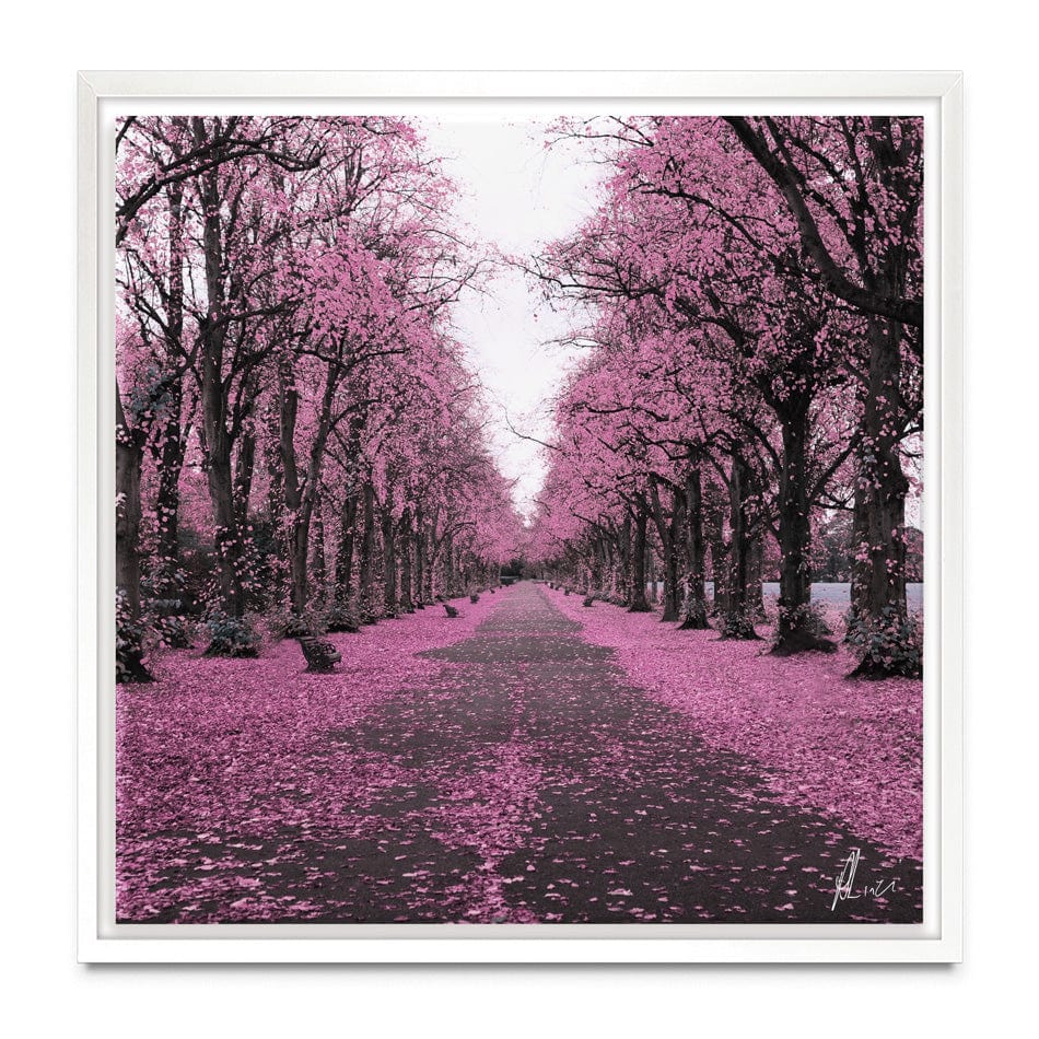 Blossom Path Canvas Print wall art product Aimee Linzi