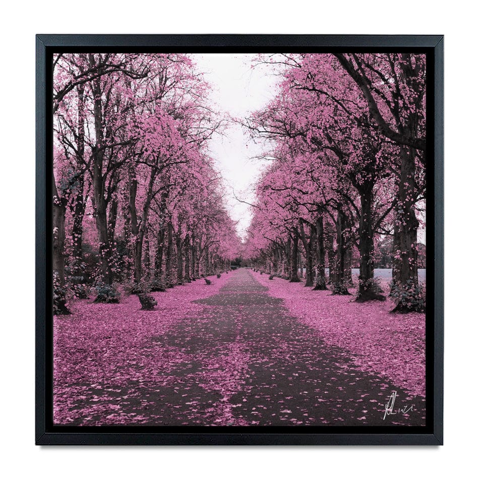 Blossom Path Canvas Print wall art product Aimee Linzi