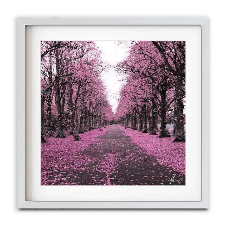 Blossom Path Framed Art Print wall art product Aimee Linzi