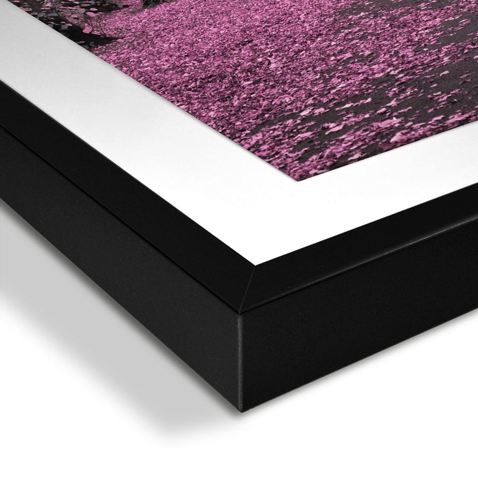 Blossom Path Framed Art Print wall art product Aimee Linzi