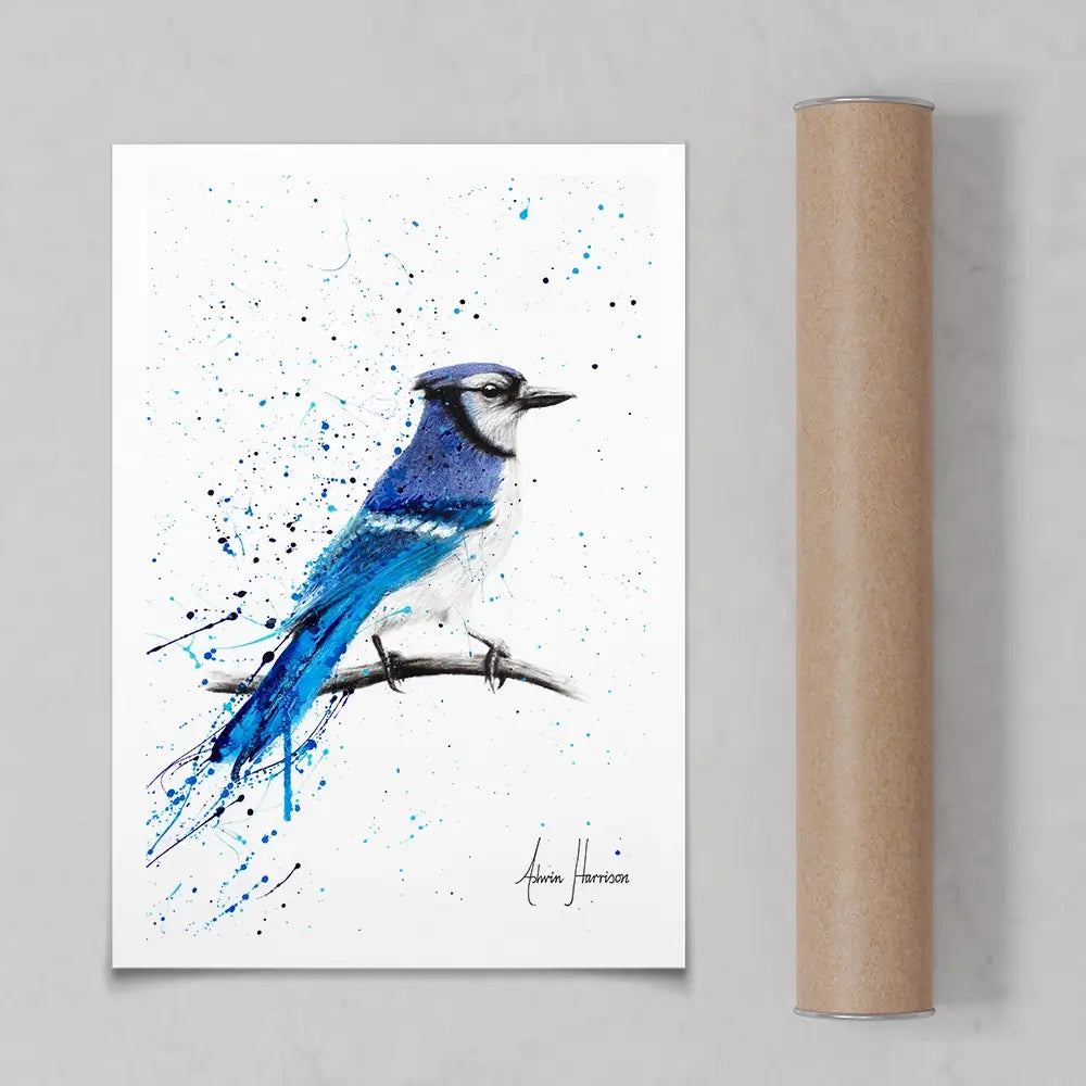 Blue Jay Sunday Art Print Blue Jay Sunday Art Print wall art product Ashvin Harrison