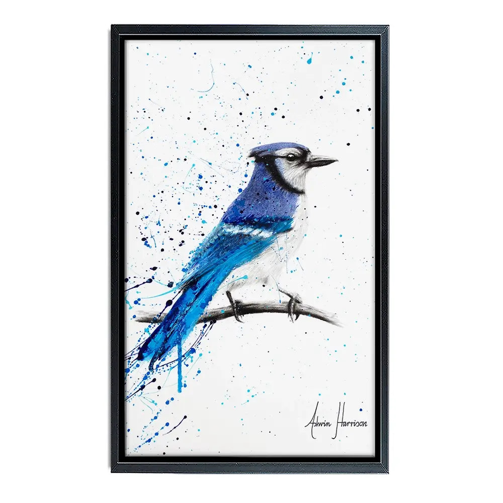 Blue Jay Sunday Canvas Print Blue Jay Sunday Canvas Print wall art product Ashvin Harrison