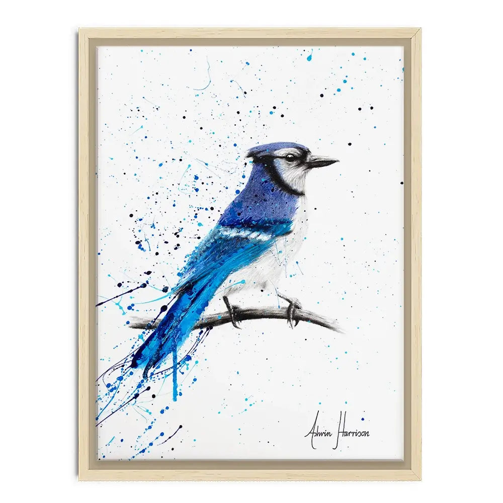 Blue Jay Sunday Canvas Print Blue Jay Sunday Canvas Print wall art product Ashvin Harrison