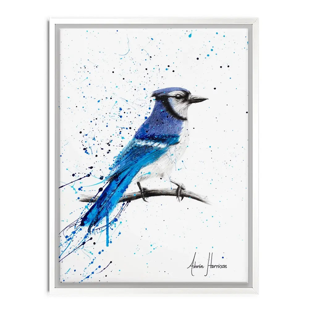 Blue Jay Sunday Canvas Print Blue Jay Sunday Canvas Print wall art product Ashvin Harrison