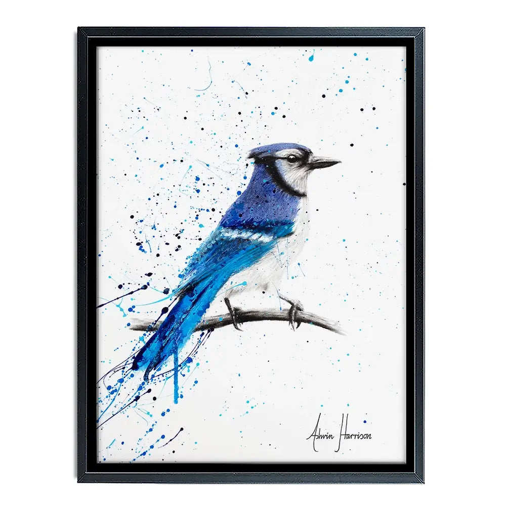 Blue Jay Sunday Canvas Print Blue Jay Sunday Canvas Print wall art product Ashvin Harrison