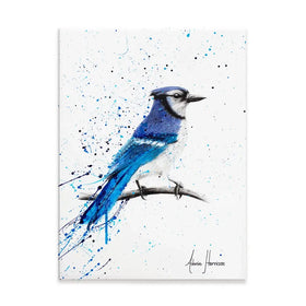 Blue Jay Sunday Canvas Print Blue Jay Sunday Canvas Print wall art product Ashvin Harrison