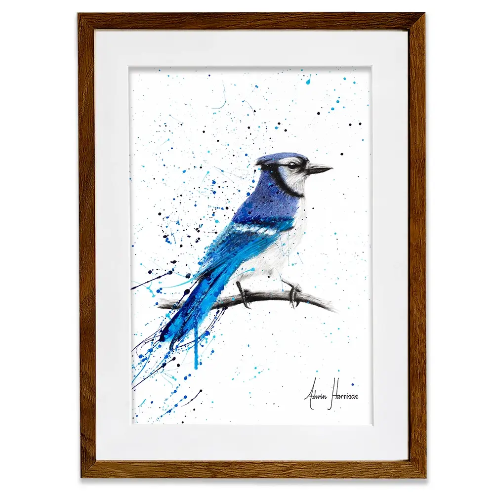 Blue Jay Sunday Framed Art Print Blue Jay Sunday Framed Art Print wall art product Ashvin Harrison
