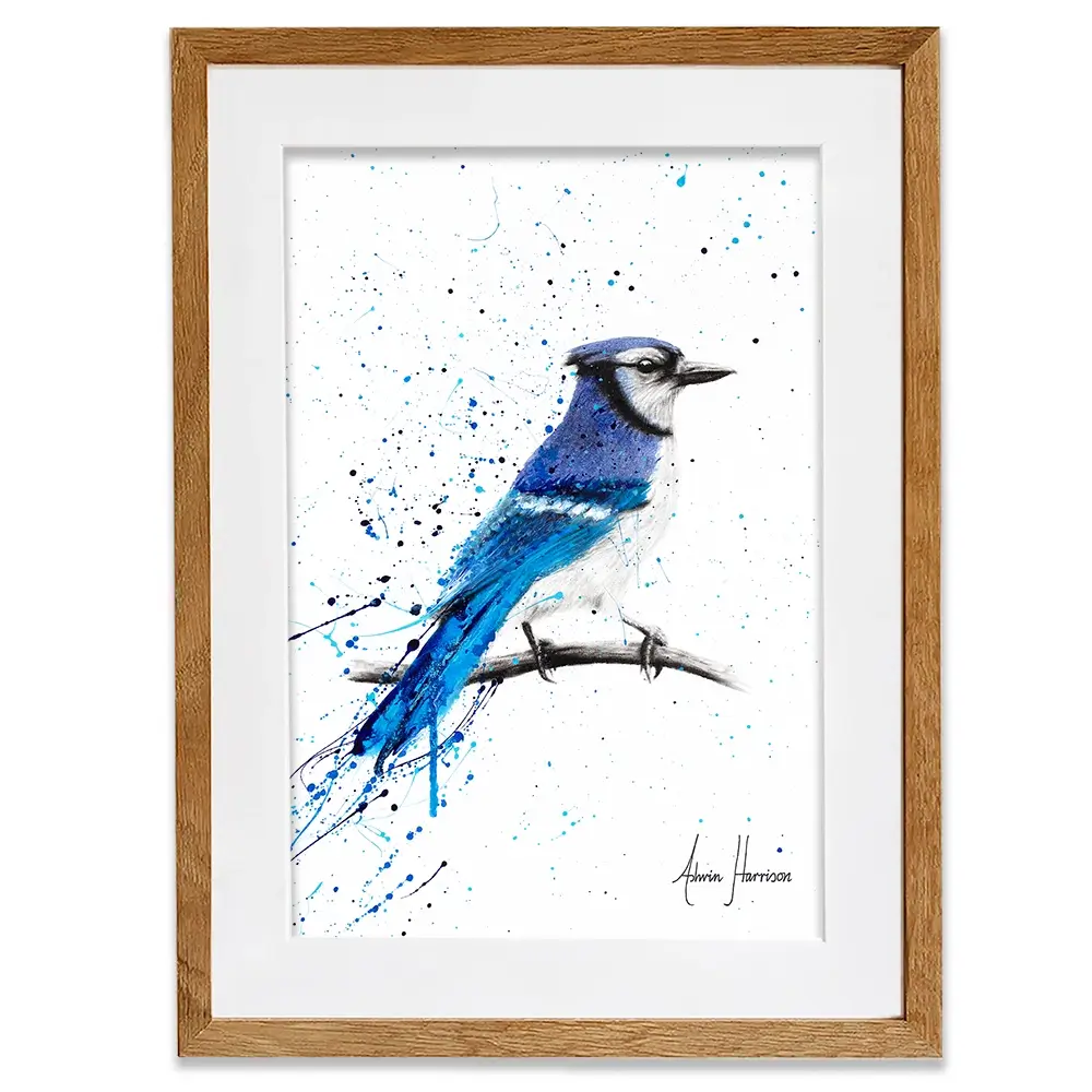 Blue Jay Sunday Framed Art Print Blue Jay Sunday Framed Art Print wall art product Ashvin Harrison