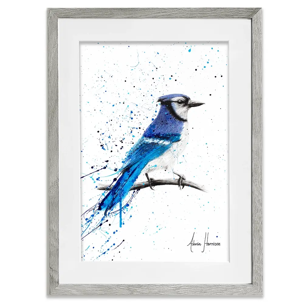 Blue Jay Sunday Framed Art Print Blue Jay Sunday Framed Art Print wall art product Ashvin Harrison